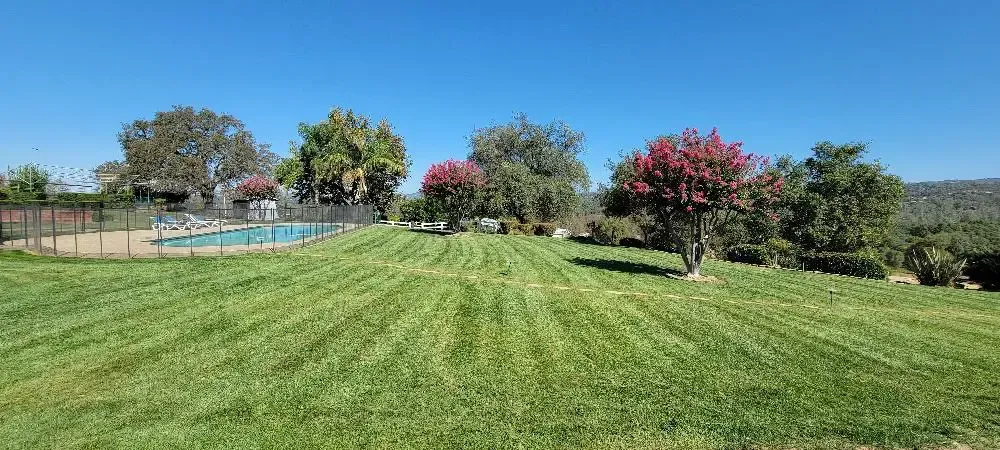 Wide green lawn with a blue swimming pool, trees with pink blossoms, and hills under a clear sky