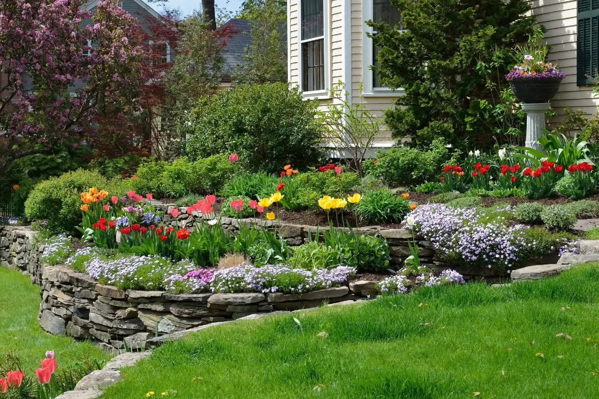 Colorful flower garden bordered by stone wall beside a house with green lawn and blooming shrubs