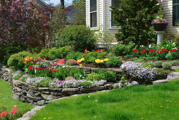 Colorful flower garden in a stone-bordered yard beside a house, with green lawn and blooming shrubs