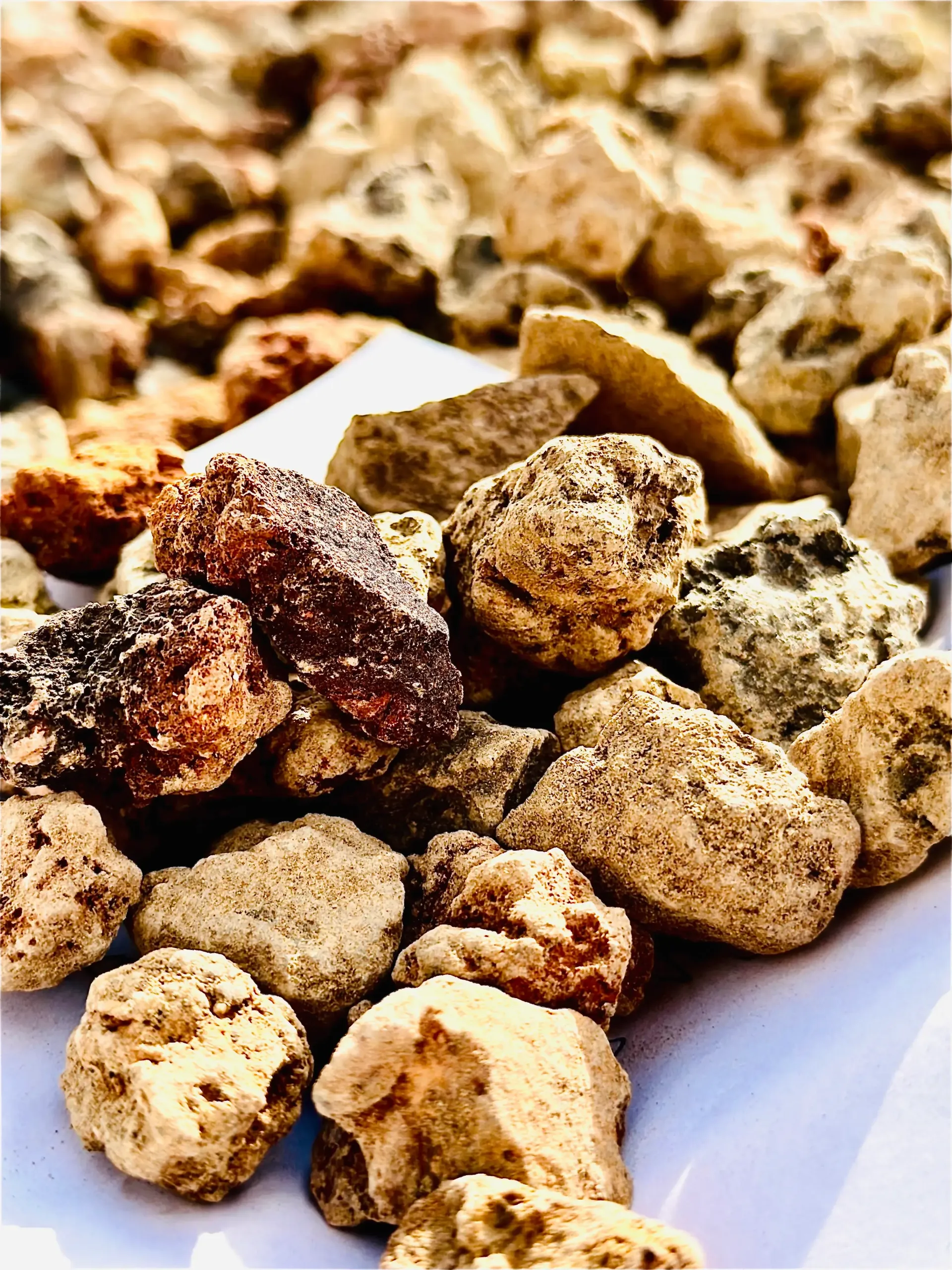 Close-up of assorted seasoned roasted nuts on a white surface