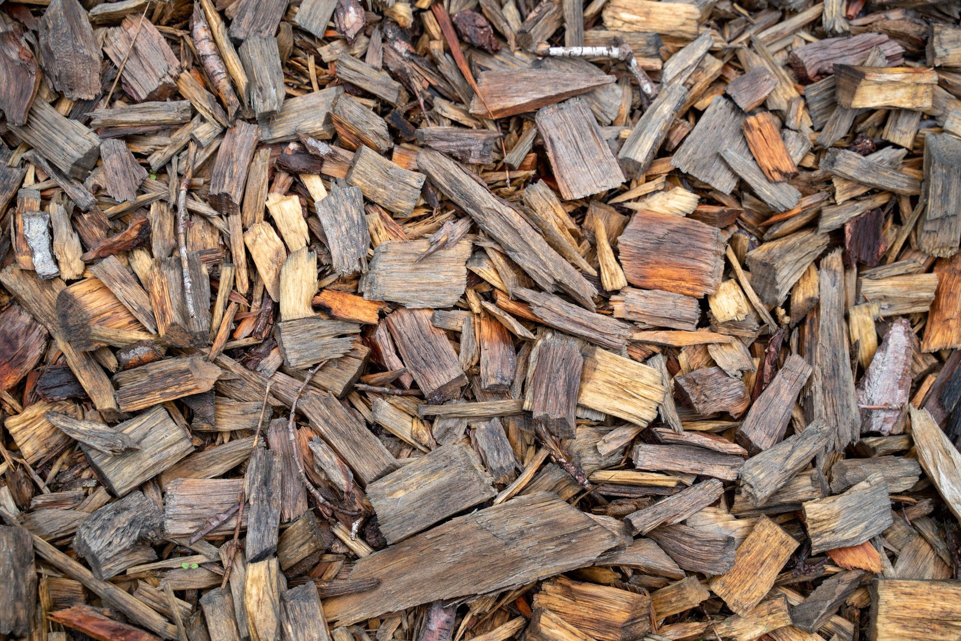 Close-up of brown wood mulch chips filling the frame.