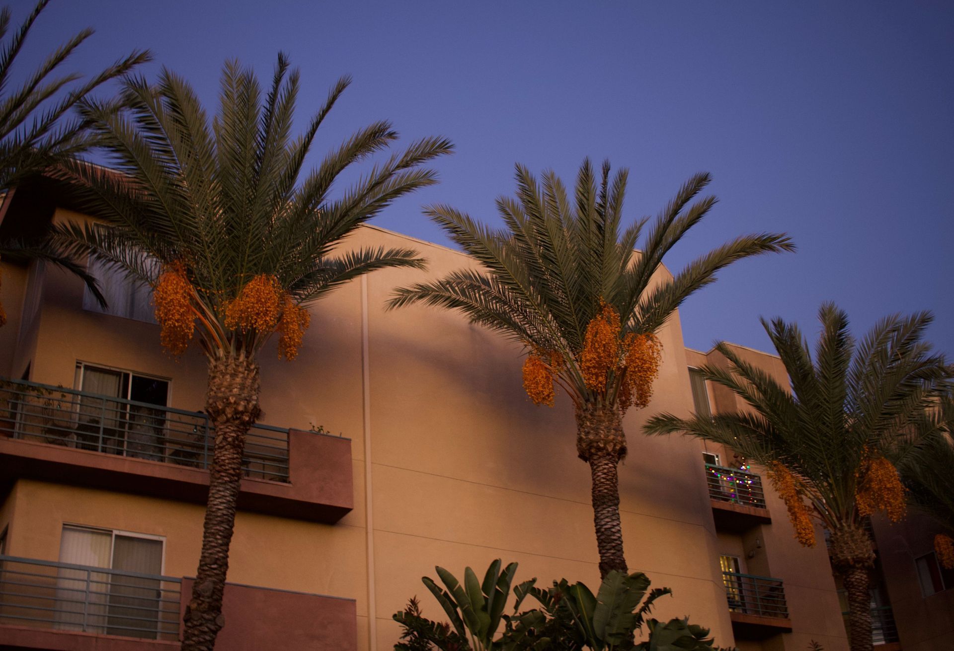 Commercial Maintenance Plans Built Around Your Property