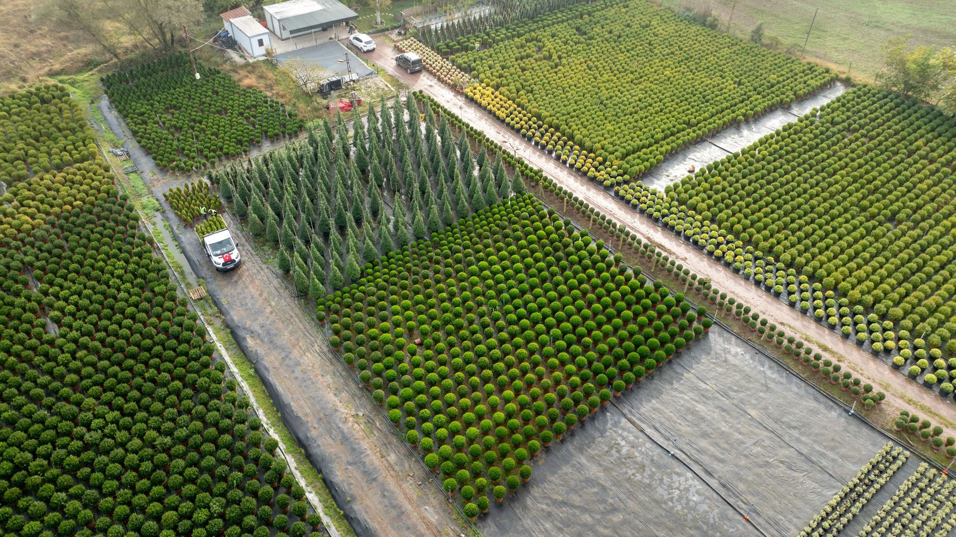 Aerial view of green farmland with rows of crops, dirt roads, and a few small buildings