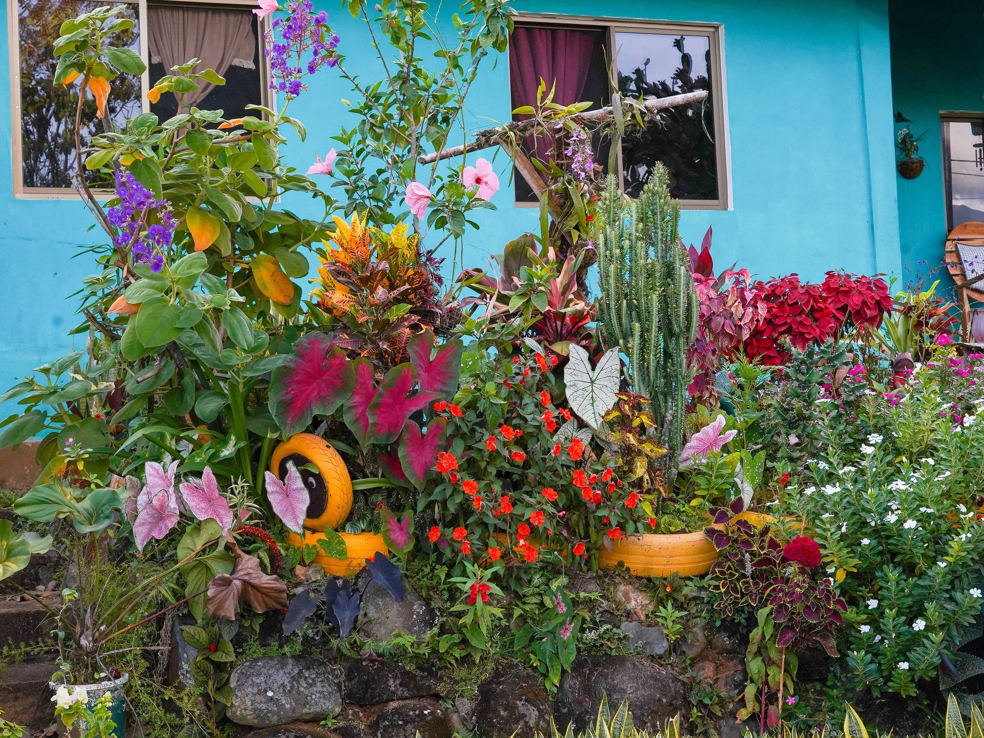 Colorful flower garden in front of a turquoise house wall with windows and potted plants
