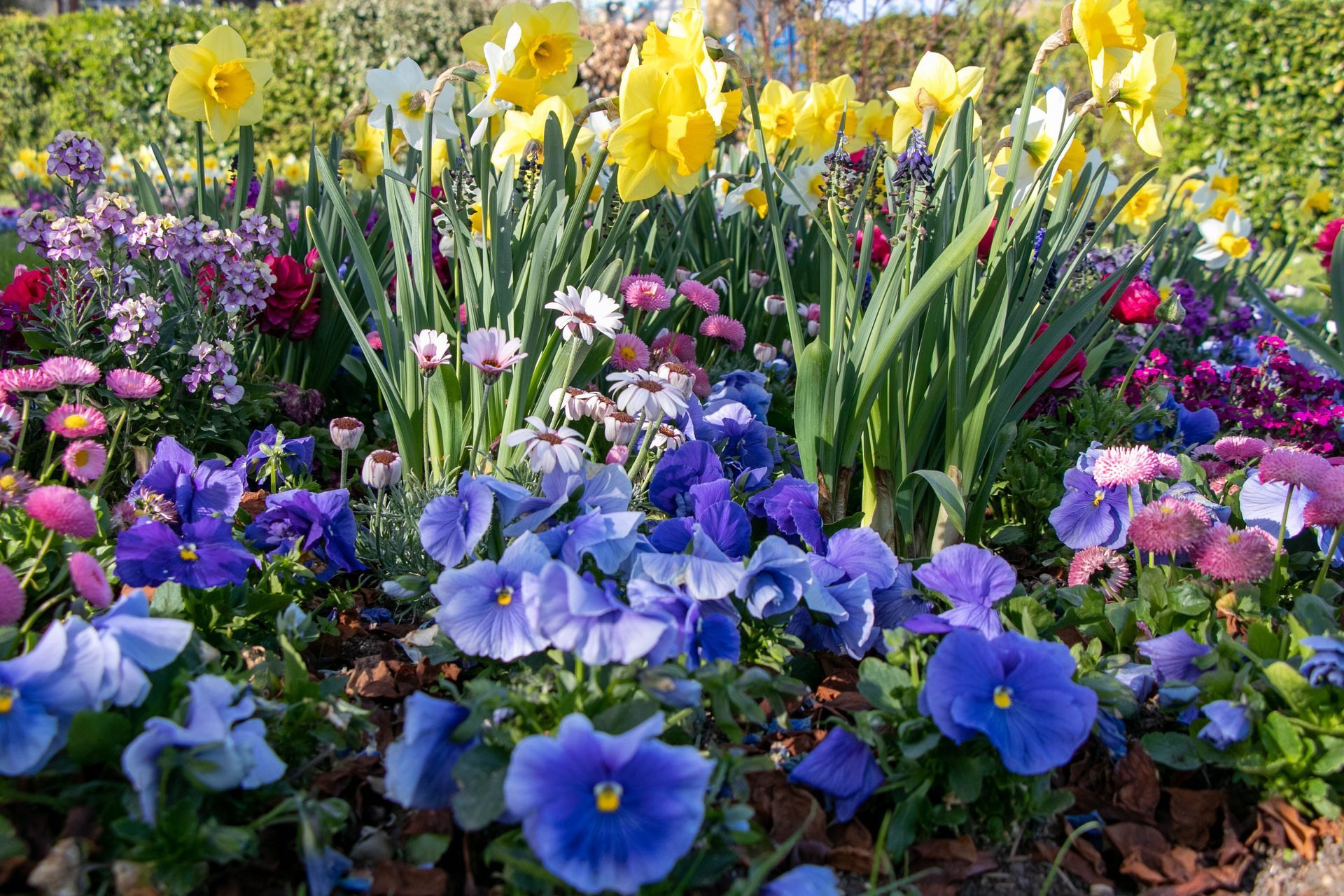 Weed Control & Landscape Bed Maintenance