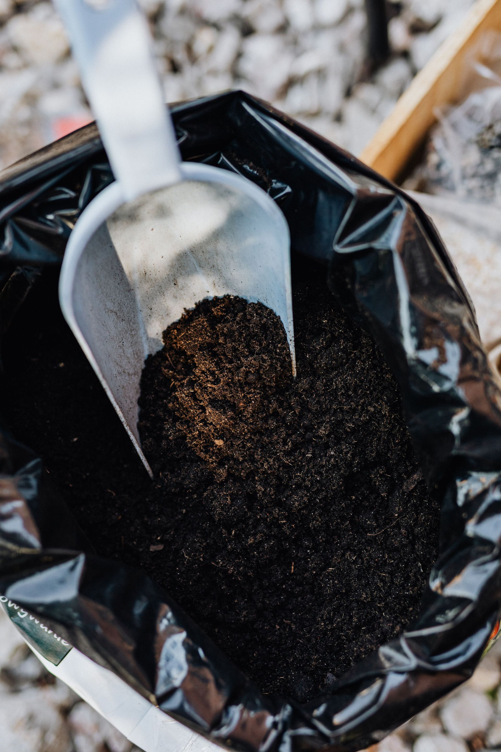 Shovel scooping dark soil or compost from a black plastic bag