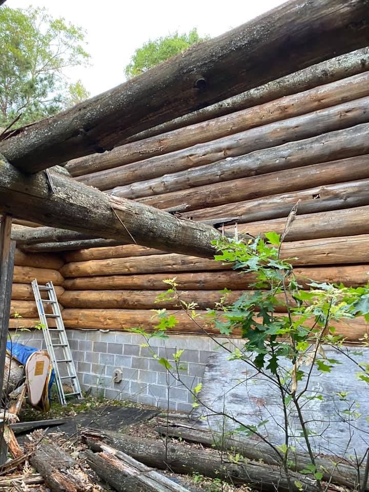 A log cabin with a ladder and a tree in front of it.