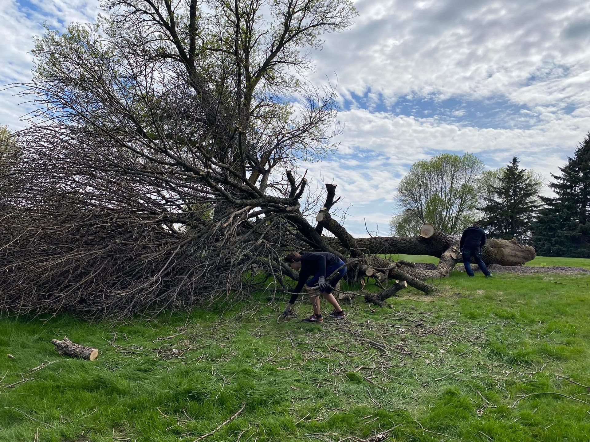 A group of people are standing in a field next to a fallen tree.
