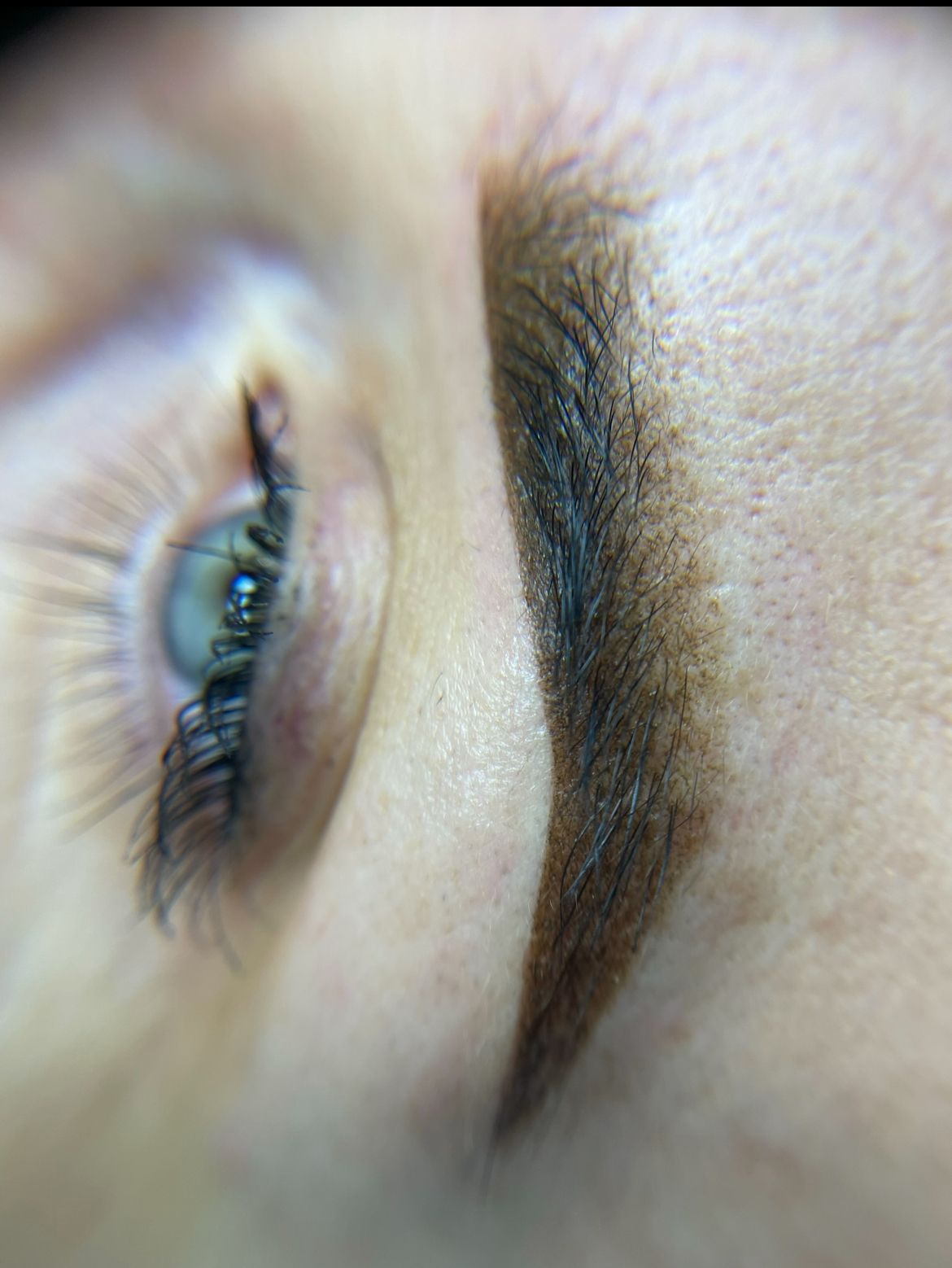 Close-up of eye and eyebrow, freshly tattooed brown, with visible skin texture.