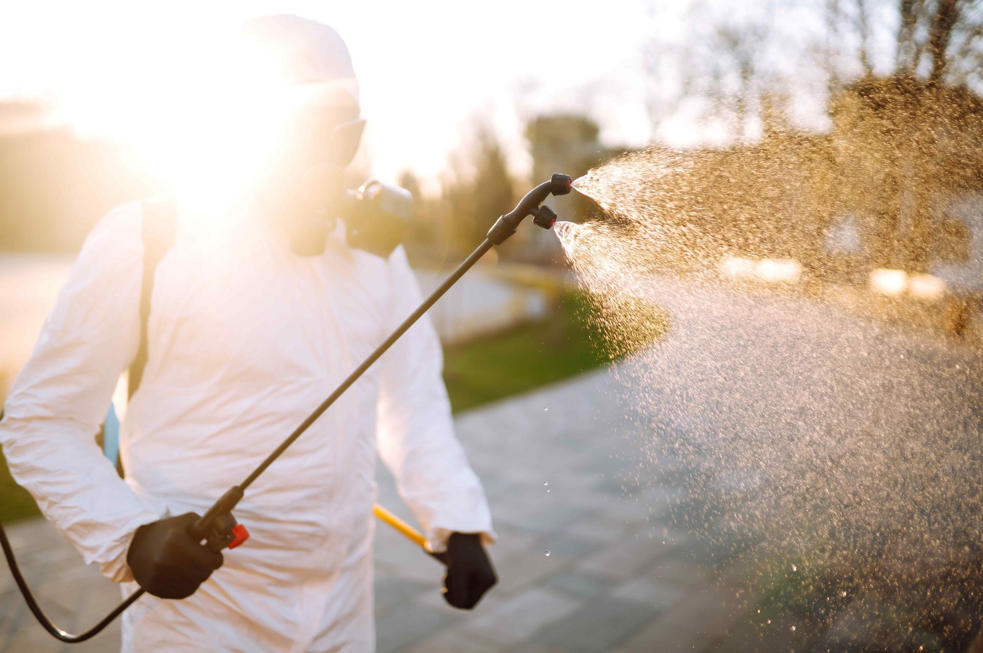 Yard Treatment Services