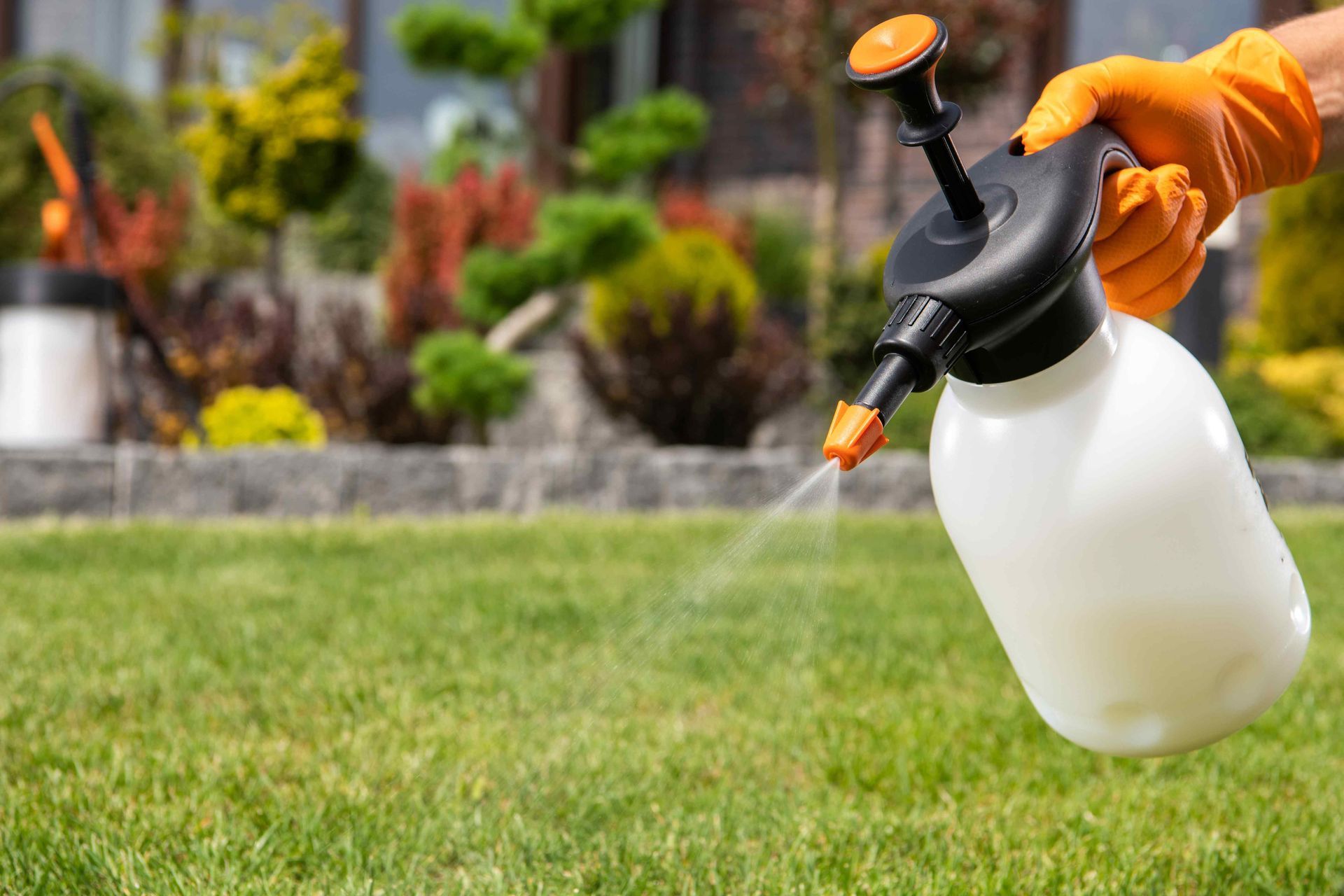 Spring Yard Treatment in Idaho Falls
