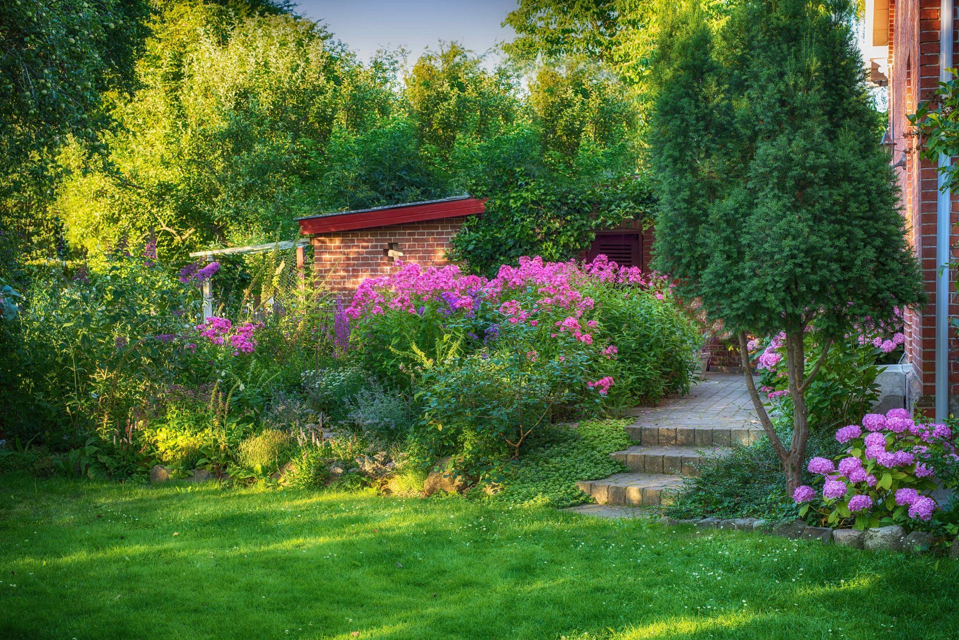 Summer Lawn Treatment Ammon ID