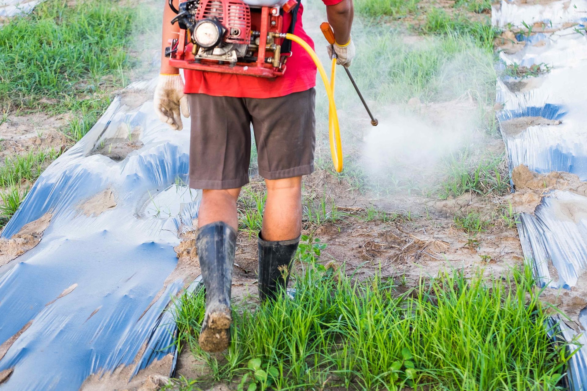 Lawn Spraying in Ammon ID