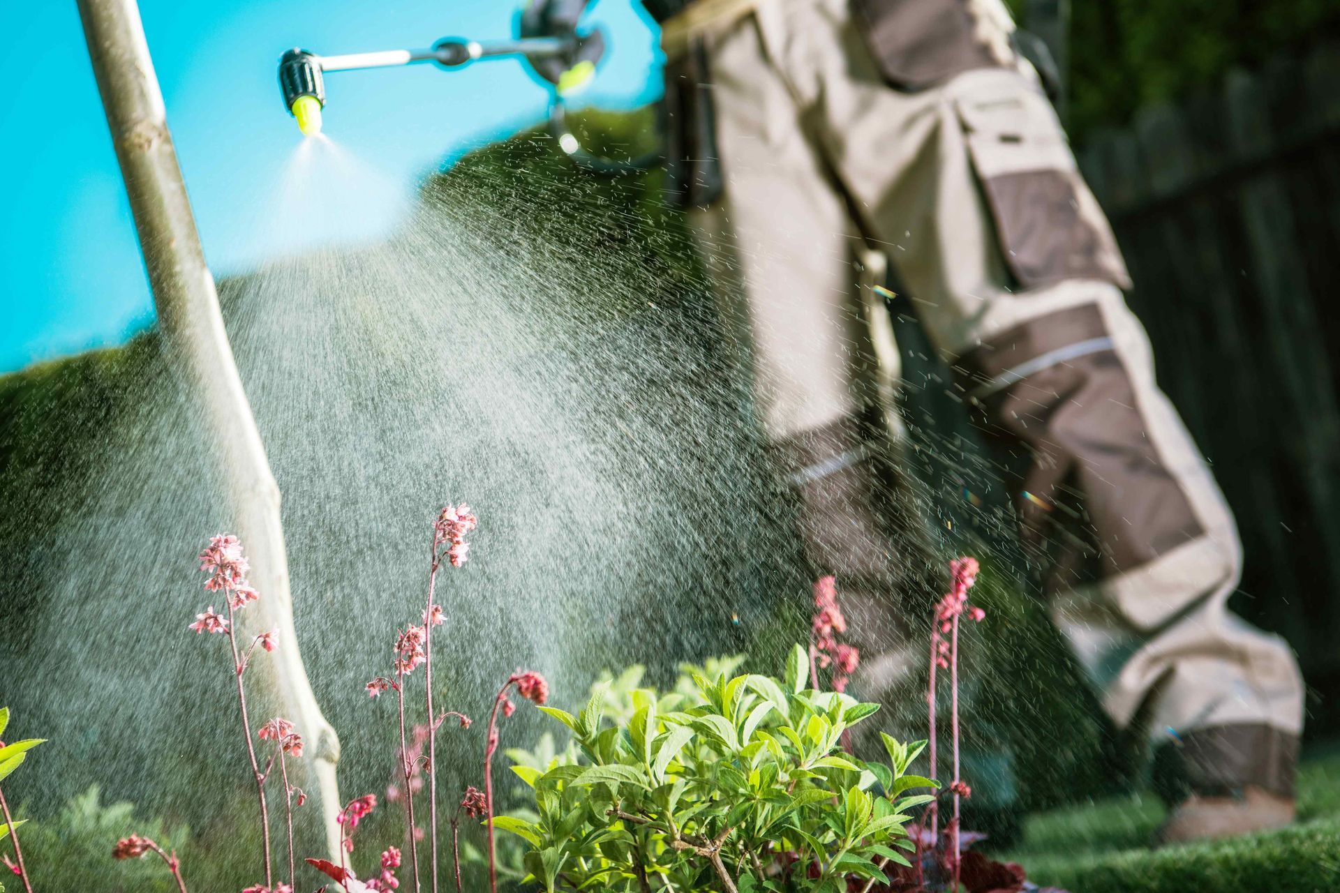 Pest Control Spraying by K-Pro