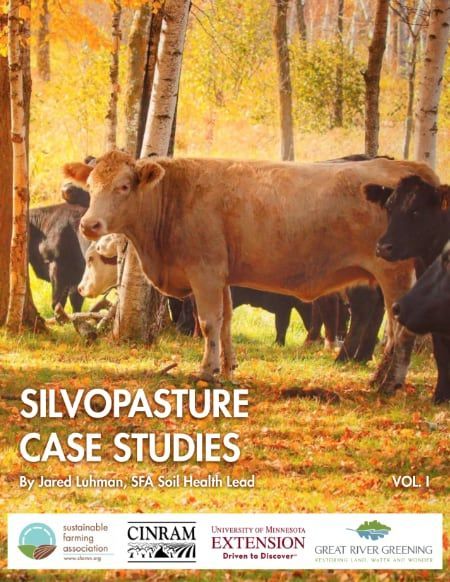 Silvopasture Case