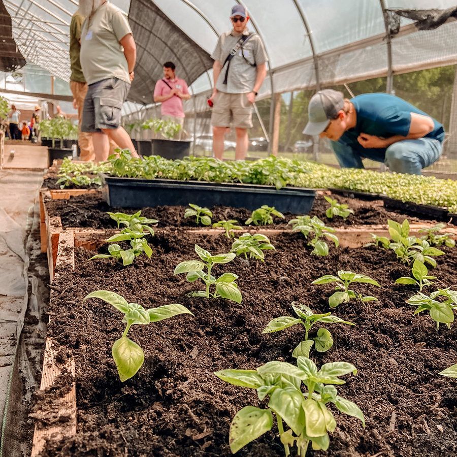 2022.June.10.TC.Growers.Bullthistle