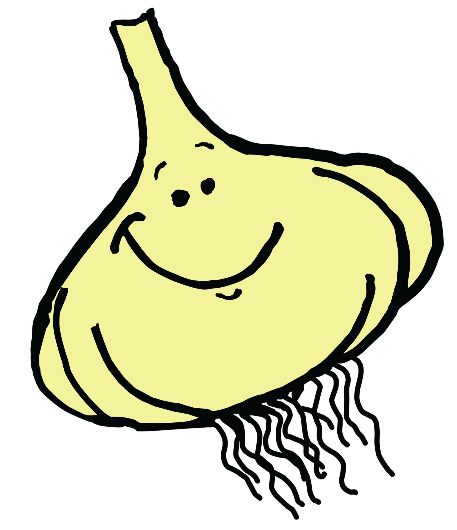 Gertie Garlic Bulb