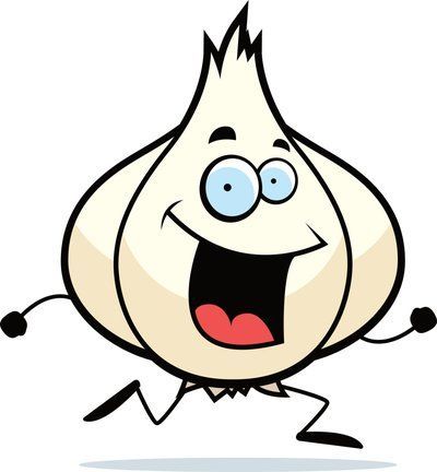 garlic guy - steve long