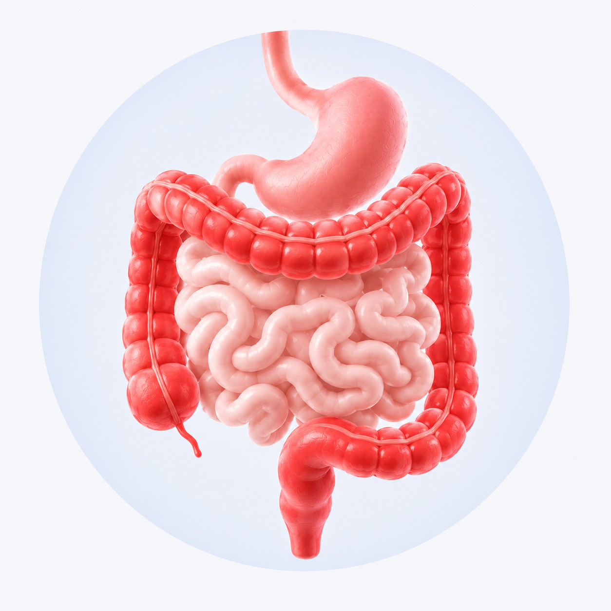 Valoración de colitis, gastritis, reflujo y enfermedades digestivas en Guadalajara