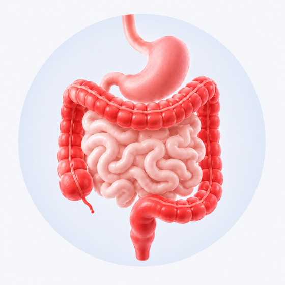 Valoración de colitis, gastritis, reflujo y enfermedades digestivas en Guadalajara