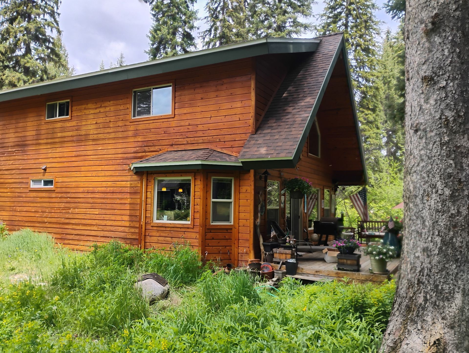 Wooden cabin with a green roof amid trees and tall grass, viewed from the front corner.