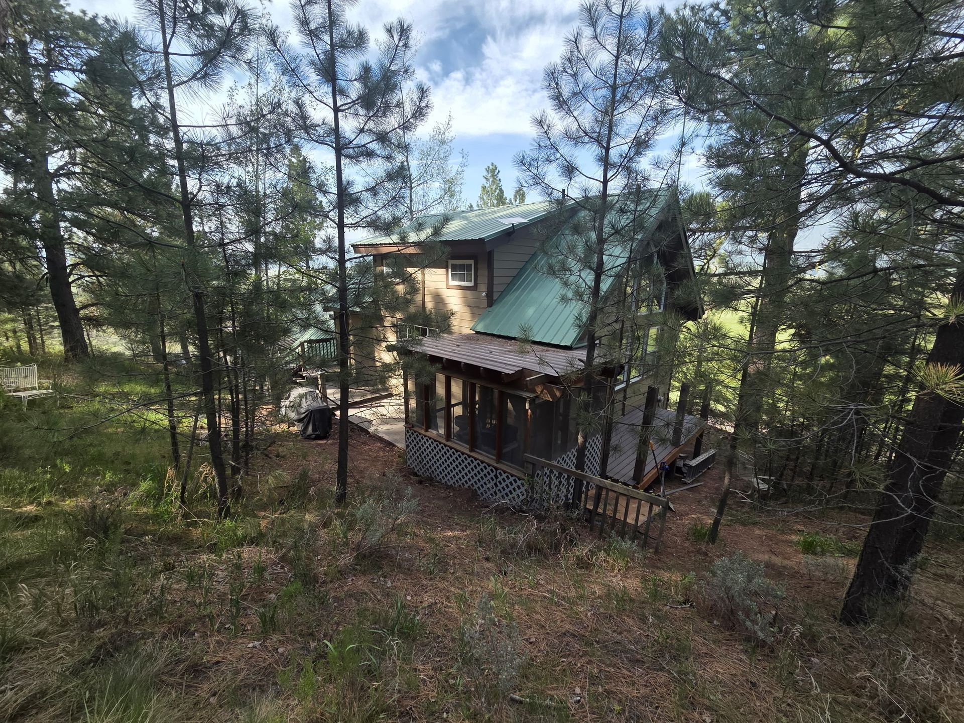 A small cabin with a green roof sits among tall pine trees in a wooded area.