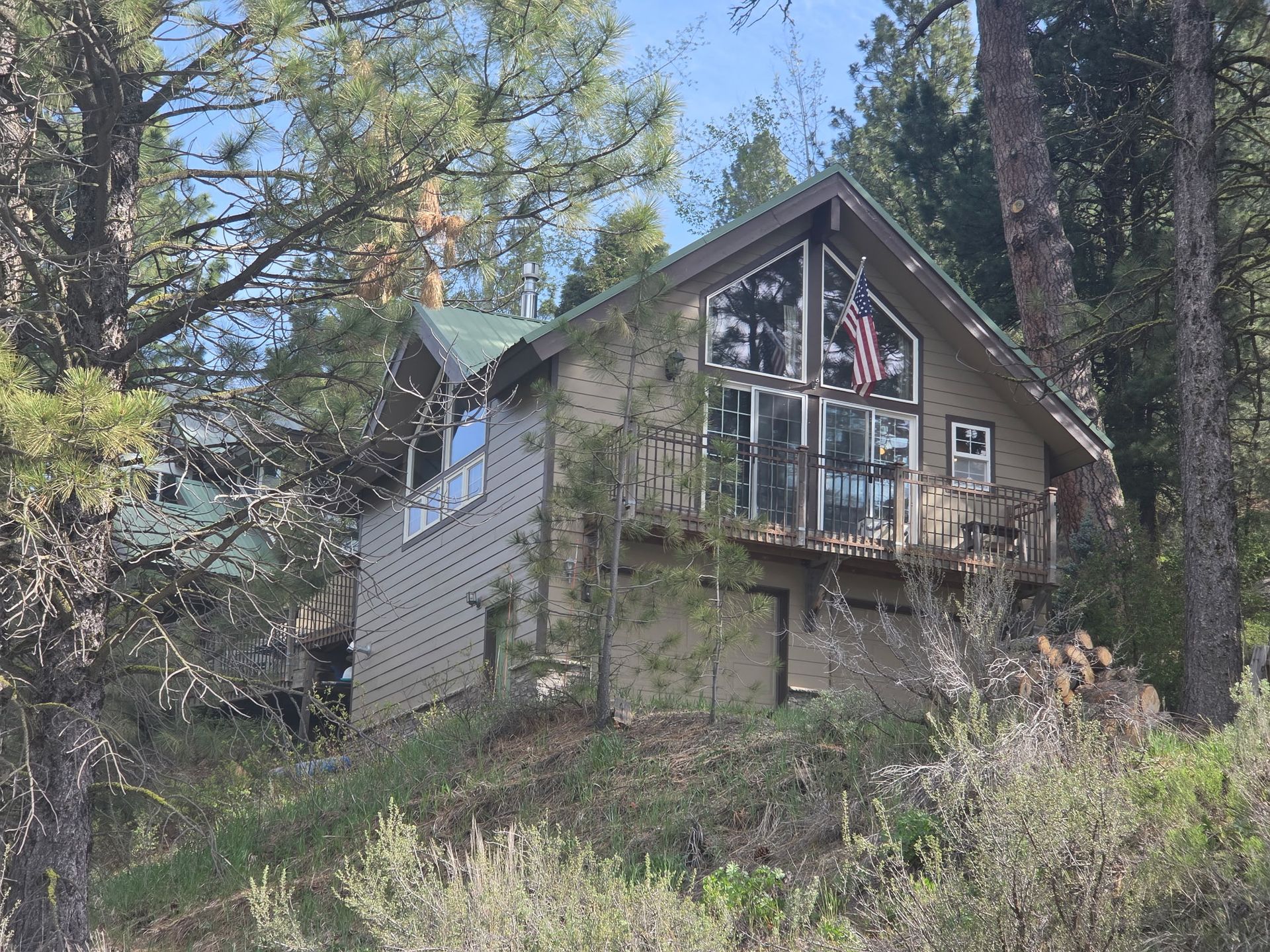 Small rustic cabin with a steep roof on a wooded hillside, surrounded by tall trees and brush