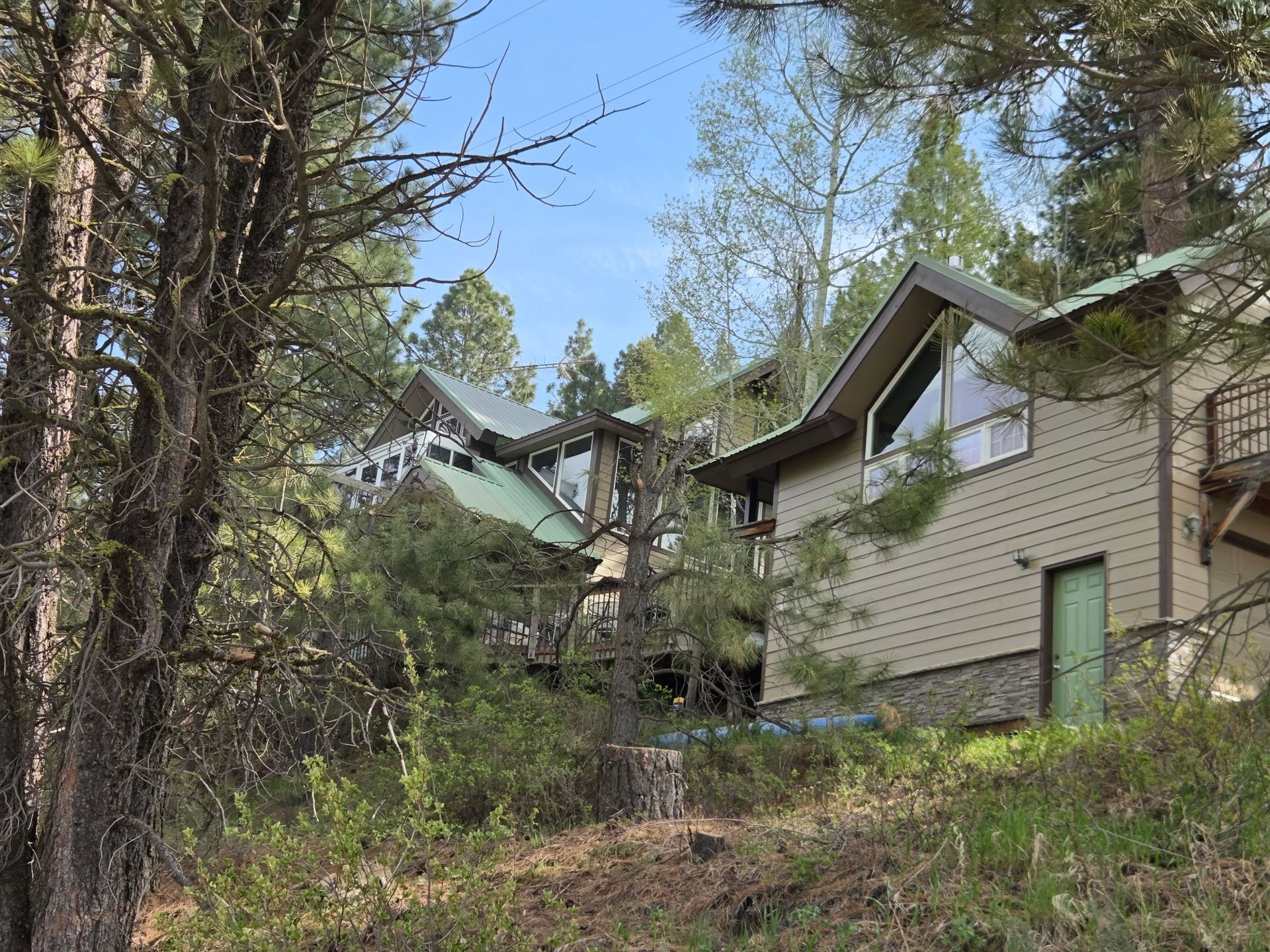Houses nestled on a wooded hillside under a clear sky