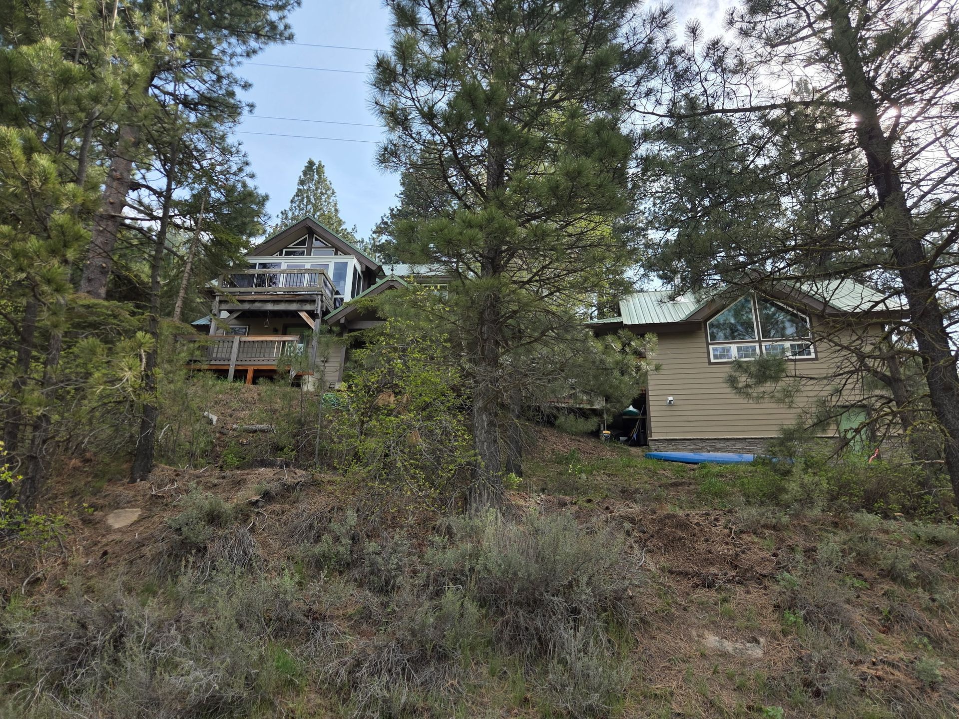 Wooded hillside with two small cabins among tall pine trees under a partly cloudy sky