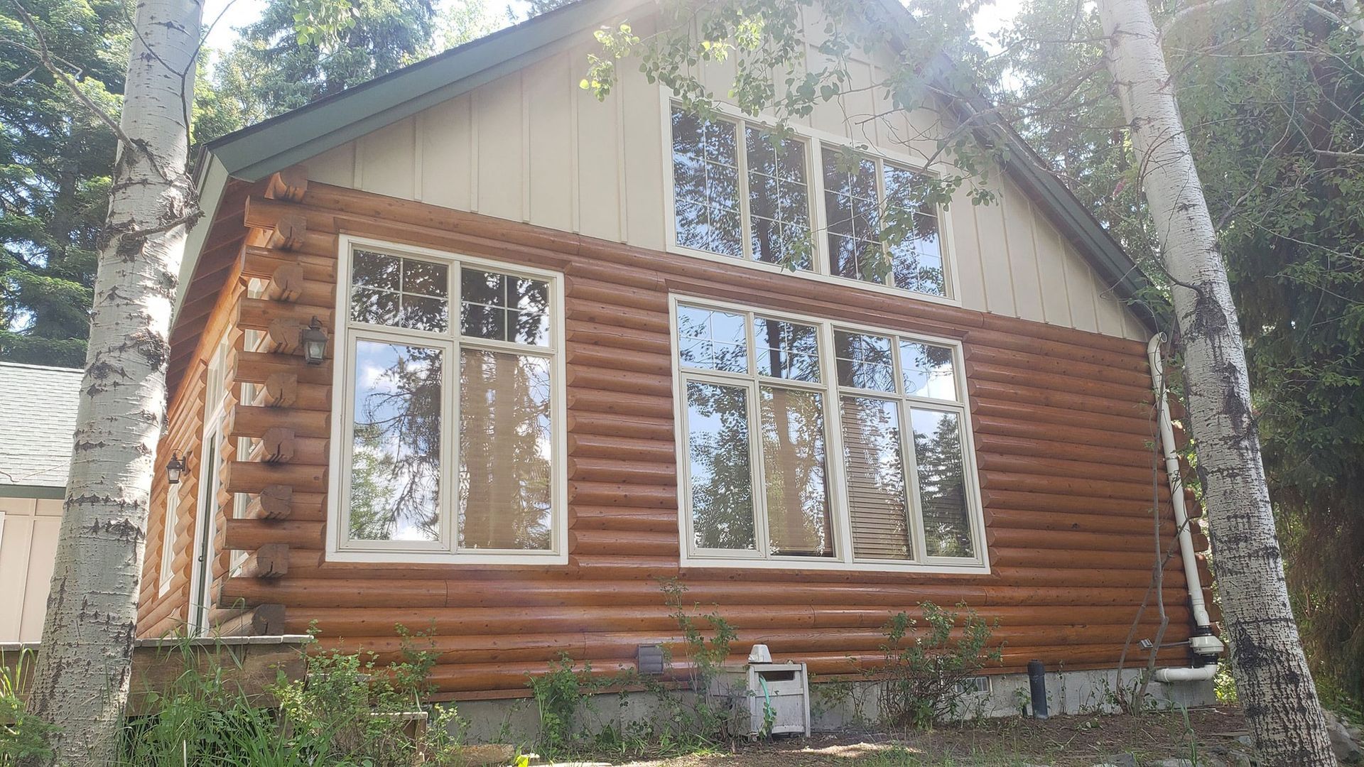 Rustic cabin with log siding and large windows, surrounded by trees in a wooded setting