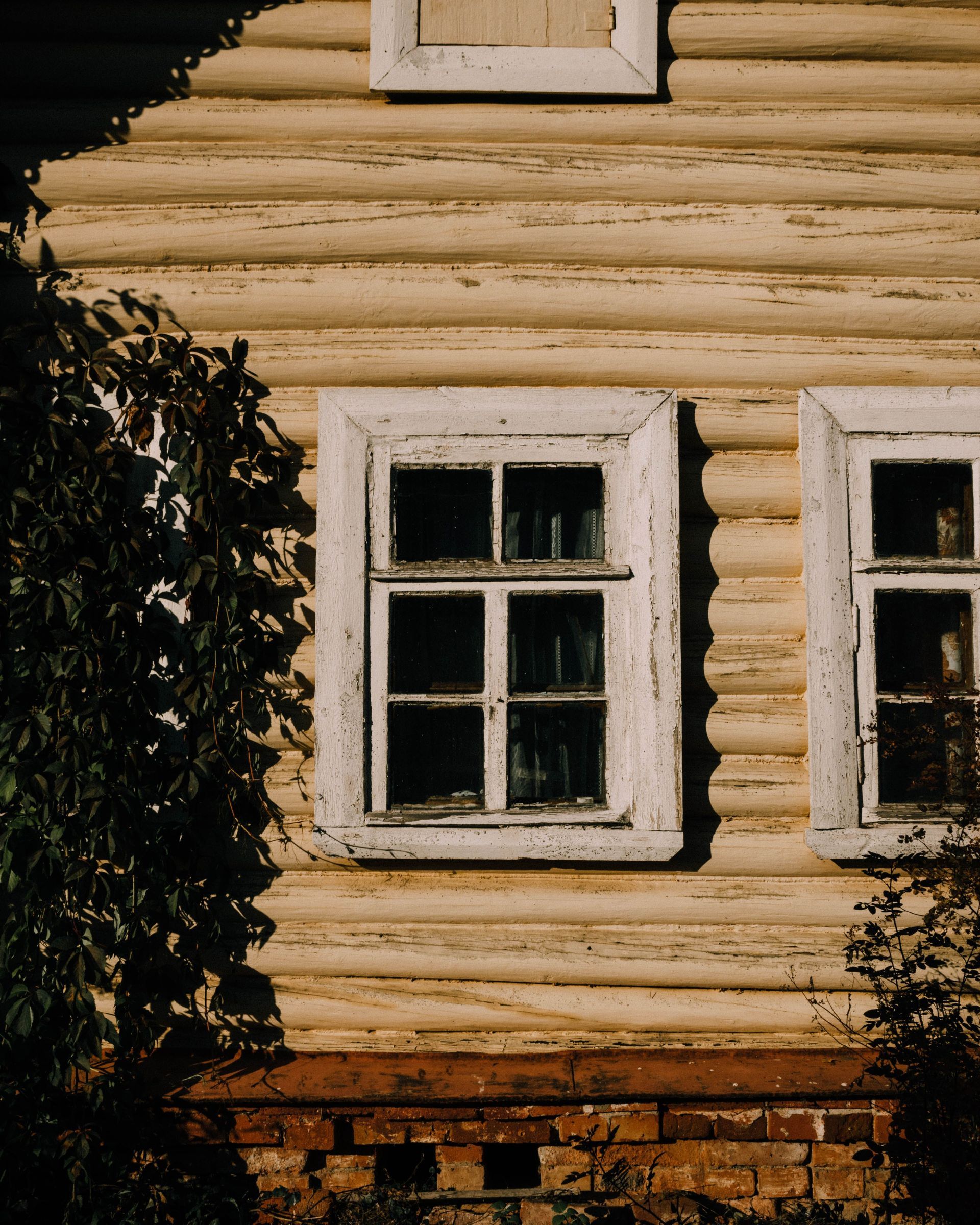 Old yellow wooden house wall with white-trimmed windows and brick foundation, partly covered by vines