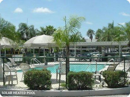 A Solar Heated Pool Is Surrounded By Palm Trees And Chairs