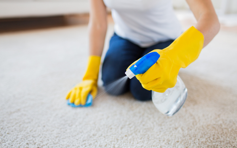 carpet cleaning