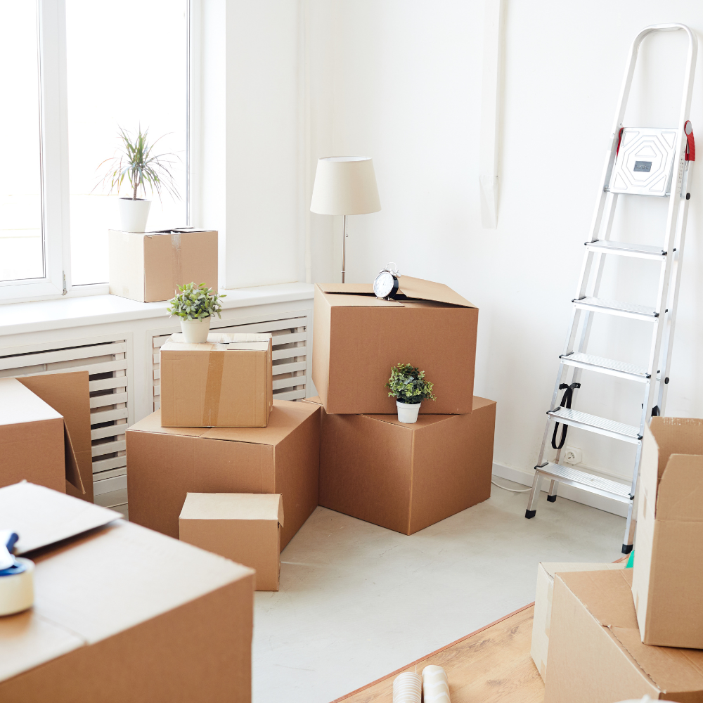 moving boxes in living room