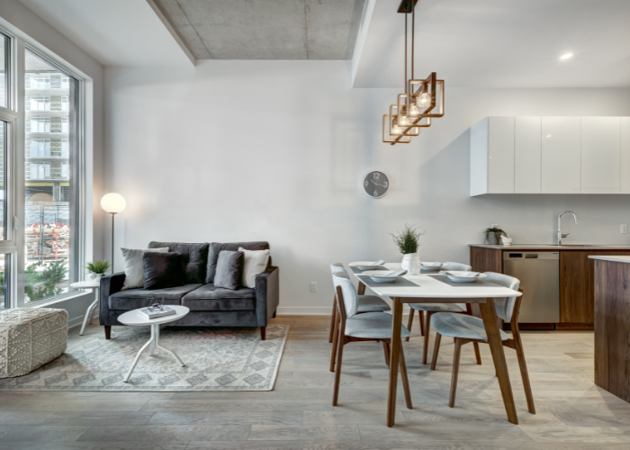 Apartment living room and dining room