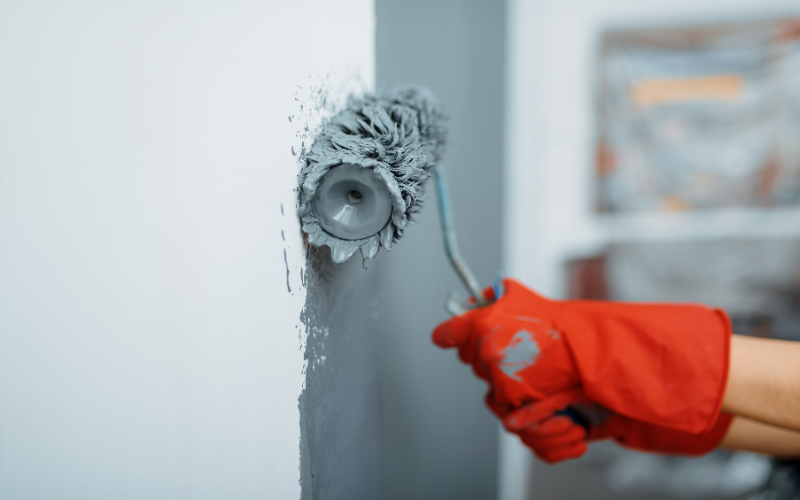 Painting rental property