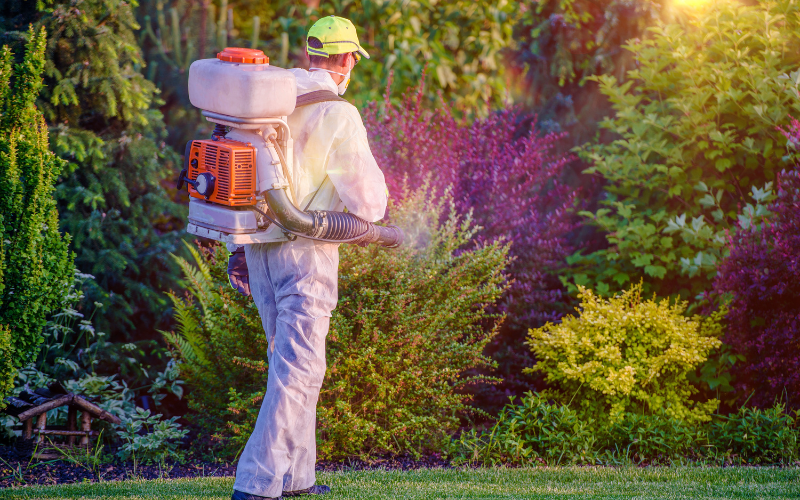 man in protective suit spraying bushes