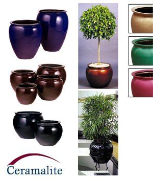 Ceramalite — Gymea Bay, NSW — Office Oasis Indoor Plant Hire