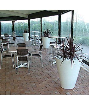 Tables and Chairs with Free Standing Plants — Gymea Bay, NSW — Office Oasis Indoor Plant Hire