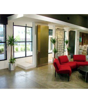 Room with Free Standing Plants — Gymea Bay, NSW — Office Oasis Indoor Plant Hire