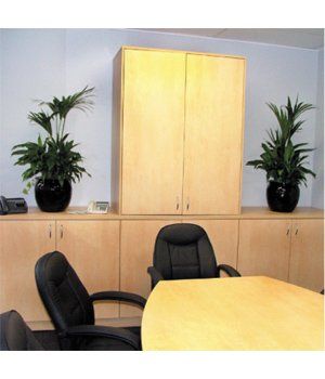 Free Standing Plants on a Meeting Room — Gymea Bay, NSW — Office Oasis Indoor Plant Hire