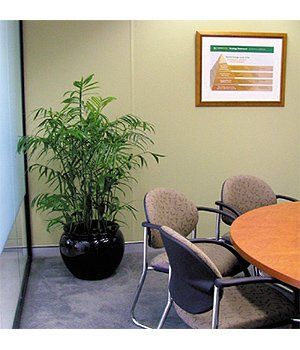 Meeting Room with Free Standing Plant — Gymea Bay, NSW — Office Oasis Indoor Plant Hire