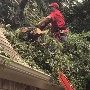 Worker in red helmet clearing fallen tree limbs from a roof with a chainsaw and ladder nearby