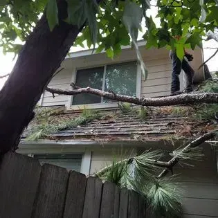 Tree limbs fallen across a house roof and fence after storm damage. Tree branches overhang a house roof and window, with a fence in the foreground.