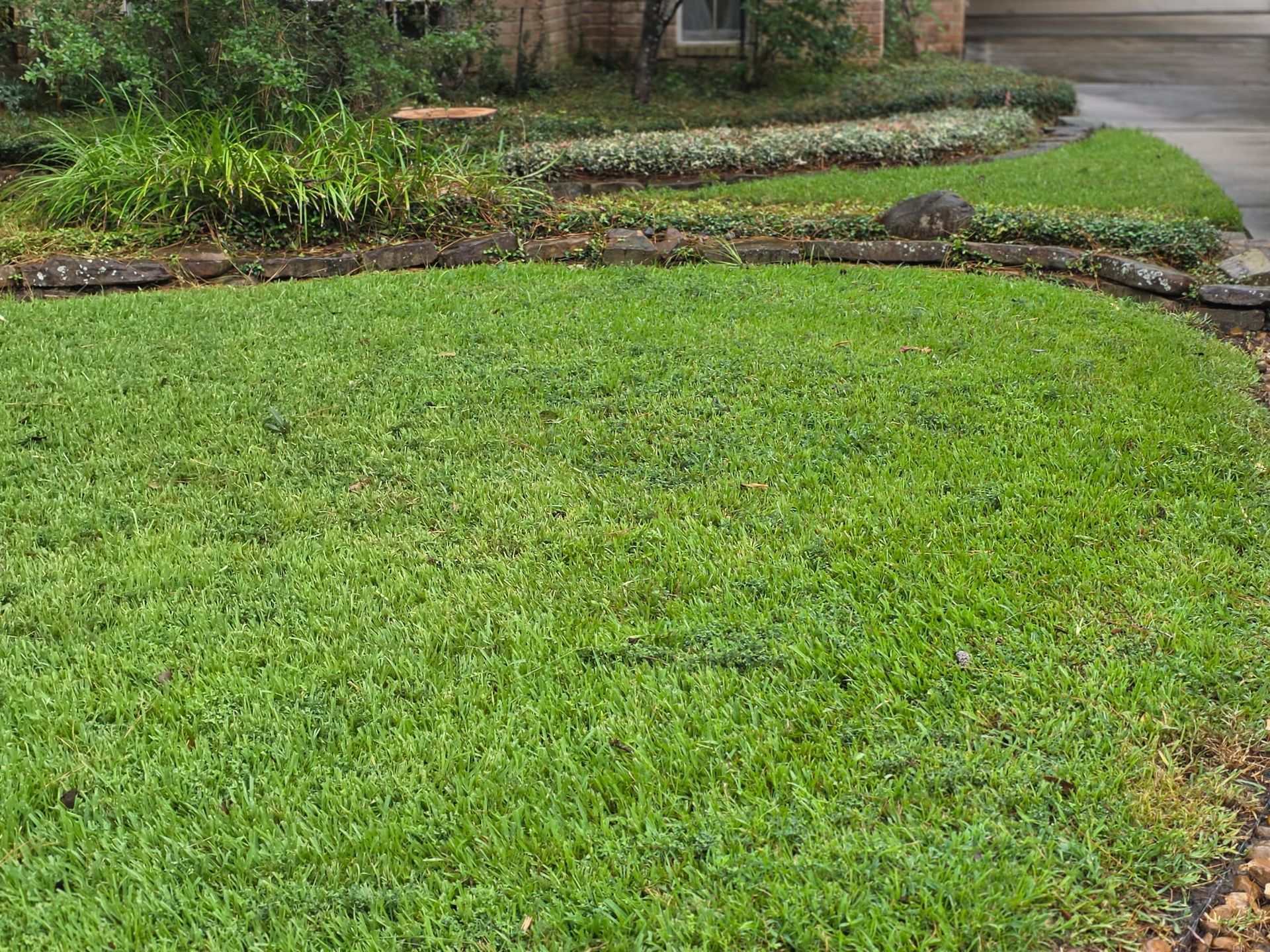 Lush green lawn bordered by stone edging, with shrubs and a curving garden path in the background