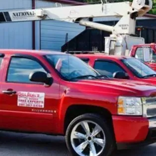 Red pickup truck with Red pickup trucks parked beside a white utility crane in an industrial lot