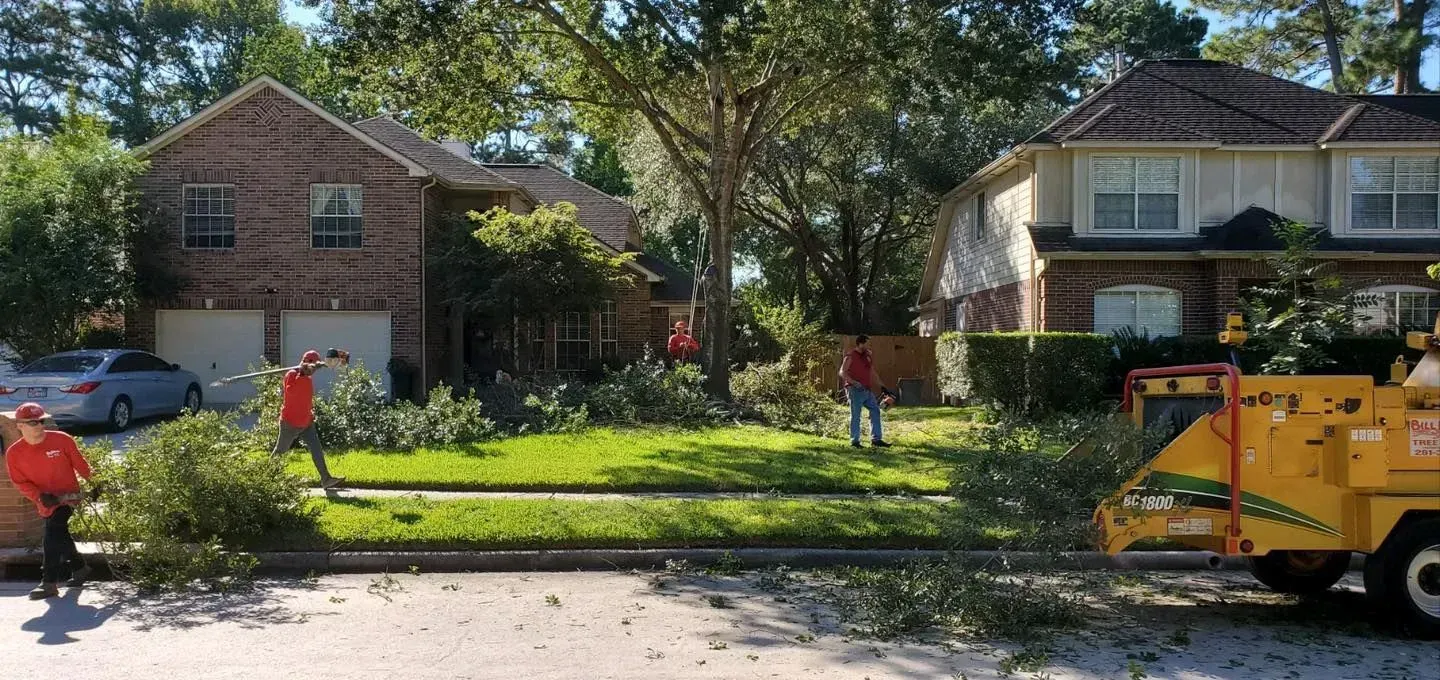 Workers trimming a grassy lot between two houses, with a yellow wood chipper at right.