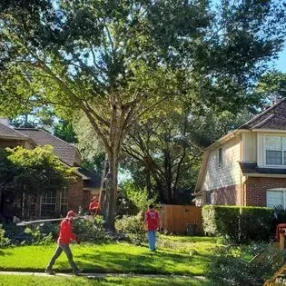 Two children in red shirts standing on a sunny suburban lawn between houses and tall trees