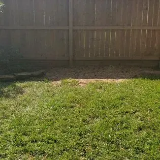 Backyard with green grass, a patch of dirt, and a wooden fence in sunlight