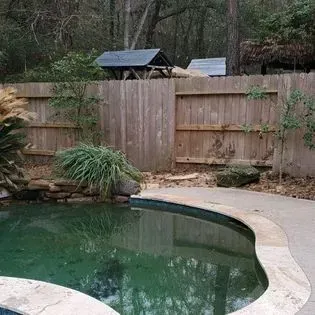 Backyard pool with green water, wooden fence, and trees in the background